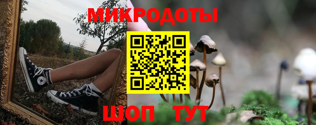 Нарткала  Псилоцибиновые грибы мухоморы  Вход с VPN 
